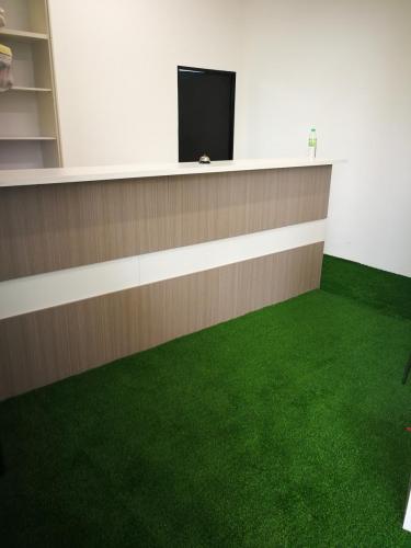 Artificial Grass and Counter Top 